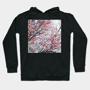 blossoming almond tree Hoodie